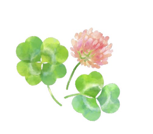 clover2